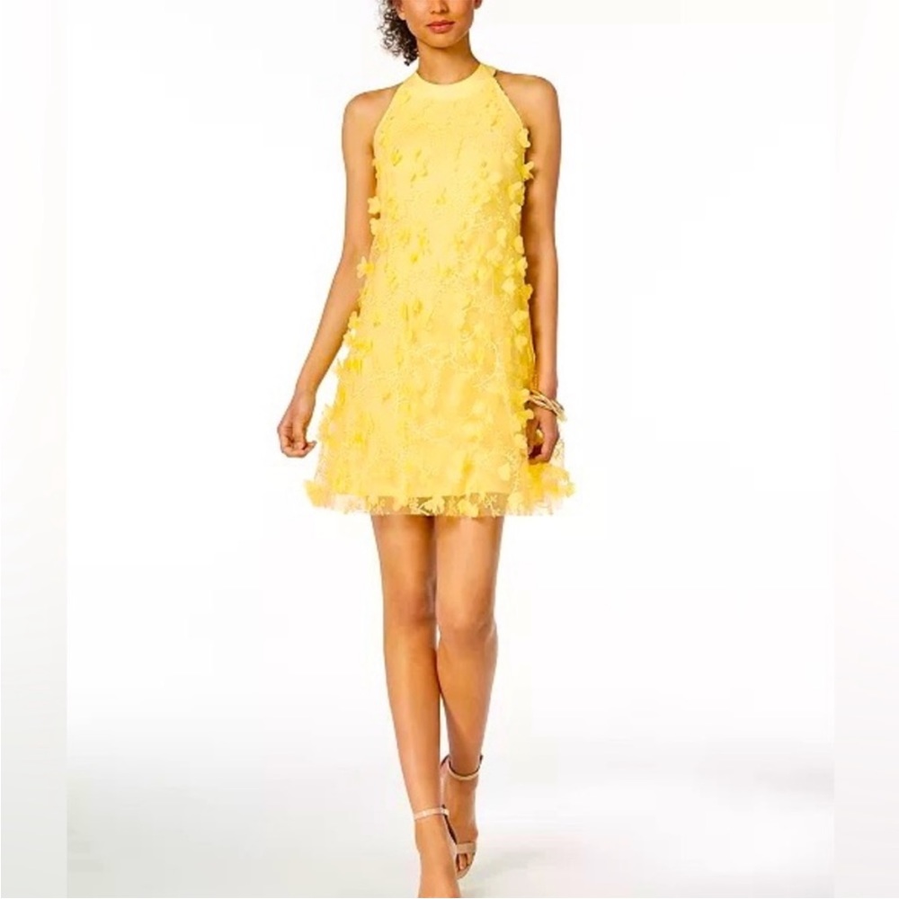 JAX Black Label 3D Floral Dress